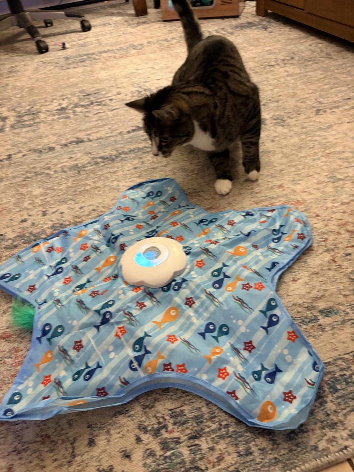 Interactive Cat Toys with Squeaker for Interactive Playing, Anxiety Relief Boredom Rechargeable Automatic Feathers Toys Touch Activated for Indoor Adult Cats and Kittens (Interactive Toys)